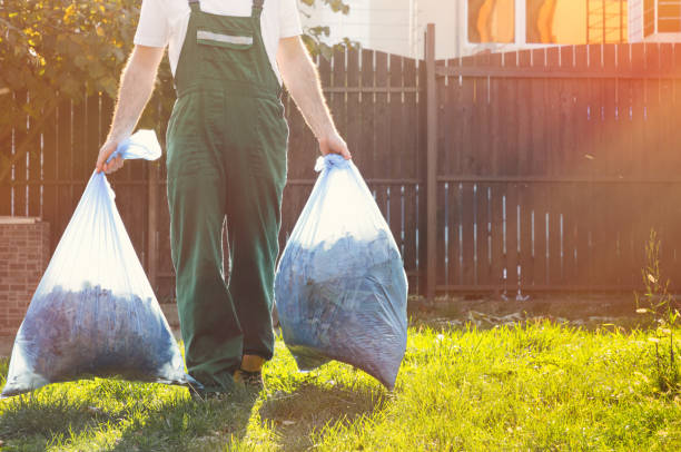 Best Junk Hauling Services  in Wayne, MI