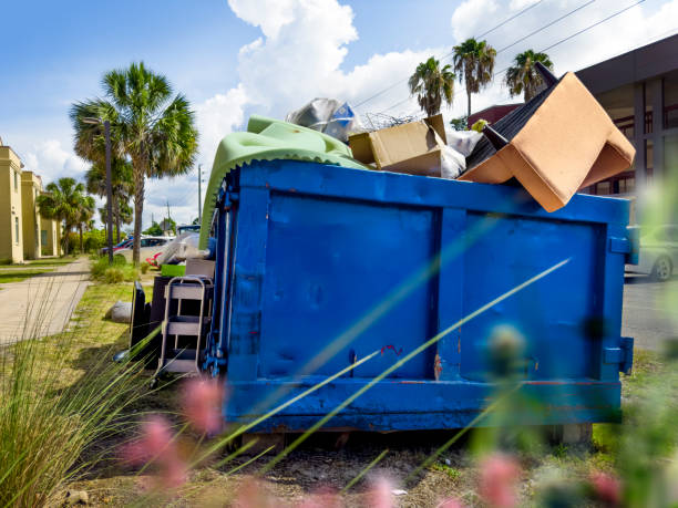Yard Cleanup Services in Wayne, MI